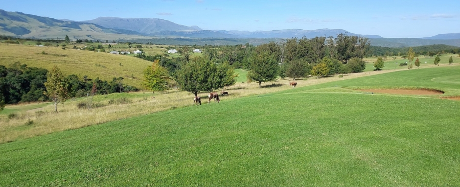 0 Bedroom Property for Sale in Katberg Eastern Cape